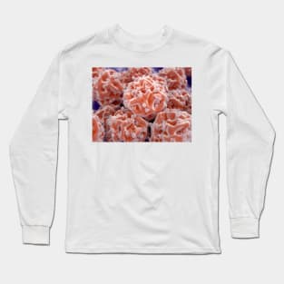 Stem cells, illustration (F013/1490) Long Sleeve T-Shirt